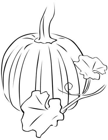 Pumpkin With Leaves Coloring Page